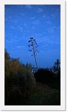 WP_20160526_21_09_53_Pro * 3024 x 5376 * (5.54MB)