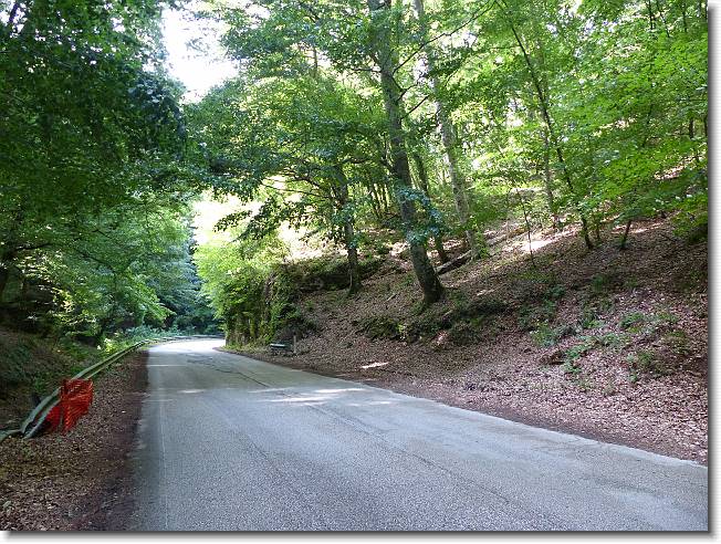 Clicca per scorrere le foto originali ingrandite