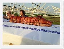 IMG_0334 * 640 x 480 * (133KB)