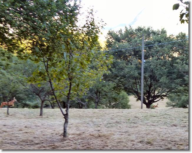 Clicca per scorrere le foto originali ingrandite
