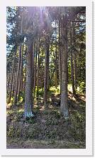 WP_20160813_15_05_50_Pro * 3024 x 5376 * (3.89MB)