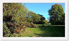WP_20161016_15_40_23_Pro * 5376 x 3024 * (7.28MB)