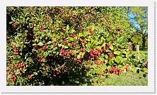 WP_20161016_15_40_30_Pro * 5376 x 3024 * (6.78MB)