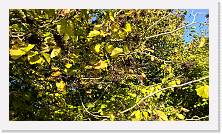 WP_20161016_15_42_42_Pro * 5376 x 3024 * (7.17MB)