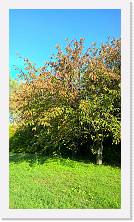WP_20161016_15_44_23_Pro * 3024 x 5376 * (7.48MB)