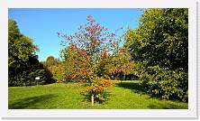 WP_20161016_15_46_34_Pro * 5376 x 3024 * (6.06MB)