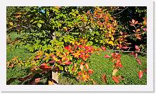 WP_20161016_15_46_47_Pro * 5376 x 3024 * (7.22MB)