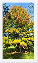 WP_20161016_16_00_04_Pro * 3024 x 5376 * (9.13MB)