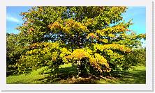 WP_20161016_16_00_39_Pro * 5376 x 3024 * (8.62MB)