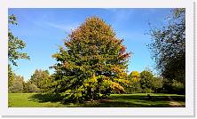 WP_20161016_16_01_00_Pro * 5376 x 3024 * (6.21MB)
