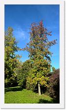 WP_20161016_16_03_26_Pro * 3024 x 5376 * (6.86MB)