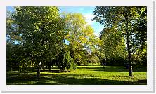WP_20161016_16_03_34_Pro * 5376 x 3024 * (7.96MB)