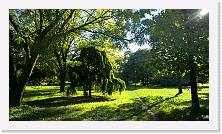 WP_20161016_16_04_06_Pro * 5376 x 3024 * (7.53MB)