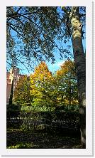 WP_20161016_16_05_41_Pro * 3024 x 5376 * (8.02MB)