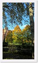 WP_20161016_16_05_47_Pro * 3024 x 5376 * (7.81MB)