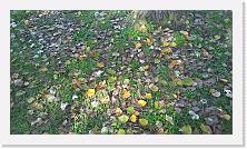 WP_20161016_16_06_13_Pro * 5376 x 3024 * (7.79MB)