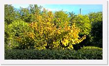 WP_20161016_16_26_29_Pro * 5376 x 3024 * (7.11MB)