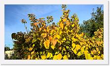 WP_20161016_16_26_38_Pro * 5376 x 3024 * (5.76MB)