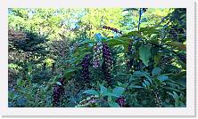 WP_20161016_16_27_05_Pro * 5376 x 3024 * (5.41MB)
