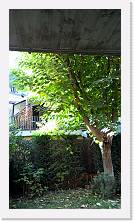 WP_20161016_16_28_34_Pro * 3024 x 5376 * (5.61MB)