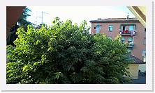 WP_20161016_16_31_07_Pro * 5376 x 3024 * (5.42MB)