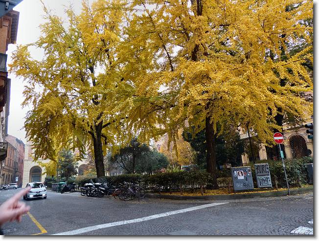 Clicca per scorrere le foto originali ingrandite
