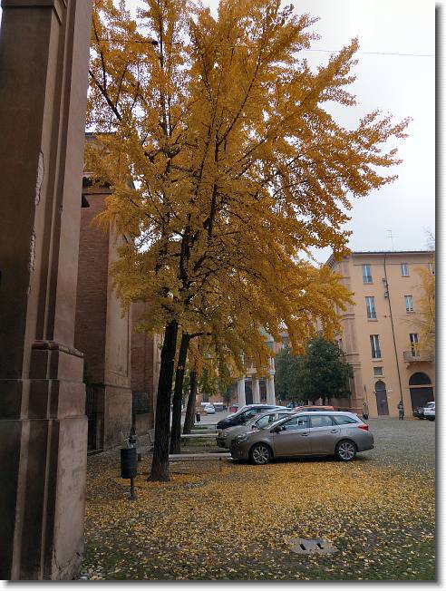 Clicca per scorrere le foto originali ingrandite