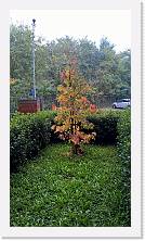 WP_20161105_13_56_07_Pro * 3024 x 5376 * (7.1MB)