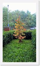 WP_20161105_13_56_19_Pro * 3024 x 5376 * (7.44MB)
