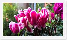 WP_20161105_13_56_37_Pro * 5376 x 3024 * (4.8MB)