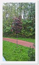 WP_20161105_13_58_20_Pro * 3024 x 5376 * (8.26MB)