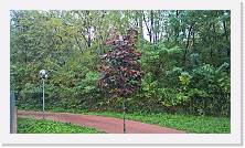 WP_20161105_13_58_28_Pro * 5376 x 3024 * (7.61MB)