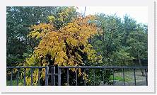 WP_20161105_13_58_54_Pro * 5376 x 3024 * (6.9MB)