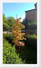 WP_20161106_12_37_23_Pro * 3024 x 5376 * (6.02MB)