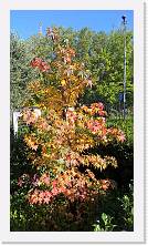 WP_20161106_12_37_49_Pro * 3024 x 5376 * (7.18MB)
