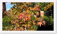 WP_20161106_12_37_58_Pro * 5376 x 3024 * (6.49MB)