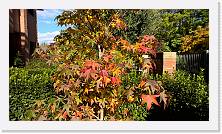 WP_20161106_12_38_05_Pro * 5376 x 3024 * (6.98MB)