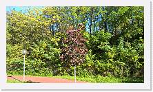 WP_20161106_12_38_34_Pro * 5376 x 3024 * (9.08MB)