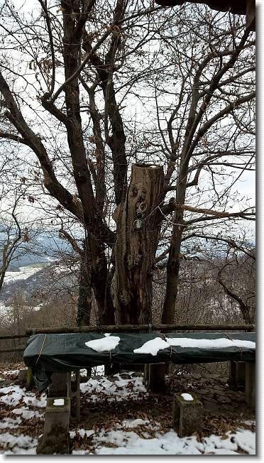 Clicca per scorrere le foto originali ingrandite