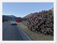 IMG_20170621_194232 * sdr * sdr * 3968 x 2976 * (2.42MB)
