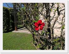 IMG_20170624_101526 * sdr * sdr * 3968 x 2976 * (3.75MB)