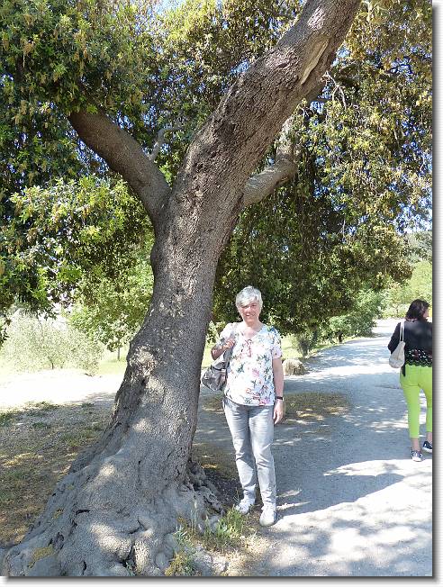 Clicca per scorrere le foto originali ingrandite