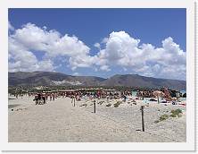 IMG_20170727_133708 * cof * cof * 3968 x 2976 * (4.72MB)
