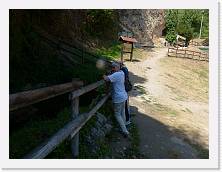 P1070861 * 4000 x 3000 * (5.08MB)