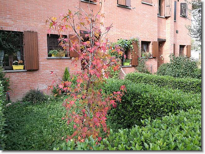 Clicca per scorrere le foto originali ingrandite
