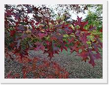 P1080071b * sdr * sdr * 3968 x 2976 * (4.72MB)