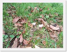 IMG_20170930_165608 * dav * dav * 3968 x 2976 * (4.7MB)