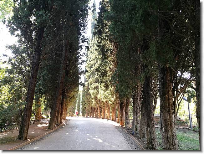 Clicca per scorrere le foto originali ingrandite