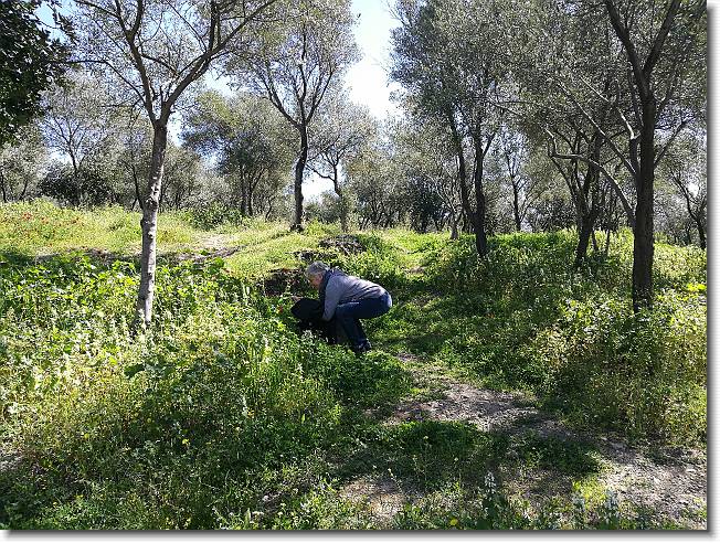 Clicca per scorrere le foto originali ingrandite