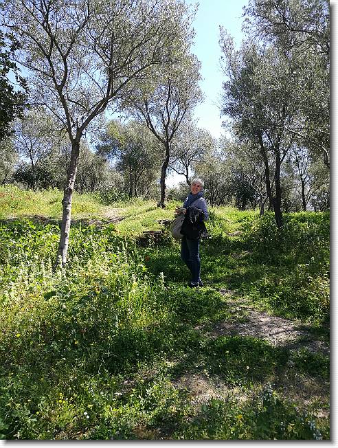 Clicca per scorrere le foto originali ingrandite